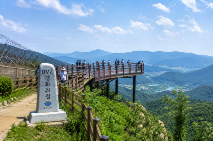 강원 DMZ 평화의 길 공중 전망대와 접경지역 숲길 풍경