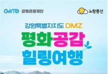 강원 DMZ 평화의 길 접경지역 생태·역사 여행