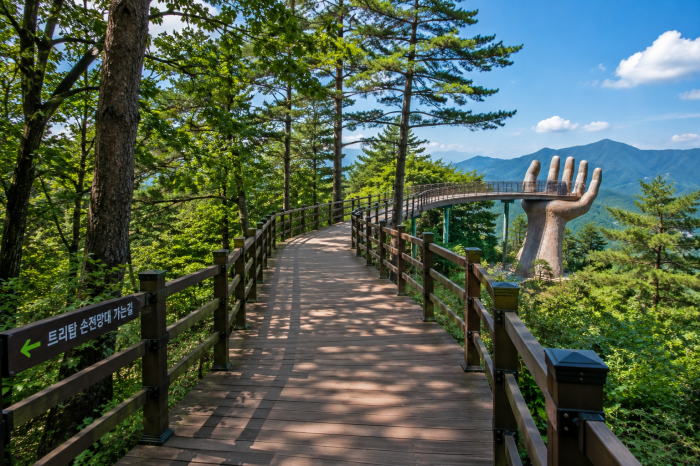 거창 산림레포츠파크 트리탑 데크 산책로
