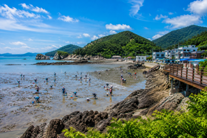 geoje-dadae-fishing-village-mudflat-coastal-view 거제 다대어촌체험휴양마을 갯벌과 남해 해안 절경