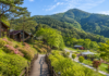 괴산 성불산 산림휴양단지, 해발 520m 숲속에서 쉬는 138ha 치유 명소 괴산 성불산 산림휴양단지 숲길과 산림휴양 풍경