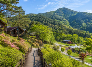 괴산 성불산 산림휴양단지 숲길과 산림휴양 풍경