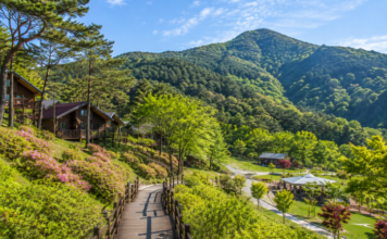 괴산 성불산 산림휴양단지 숲길과 산림휴양 풍경
