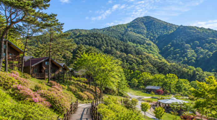 괴산 성불산 산림휴양단지 숲길과 산림휴양 풍경