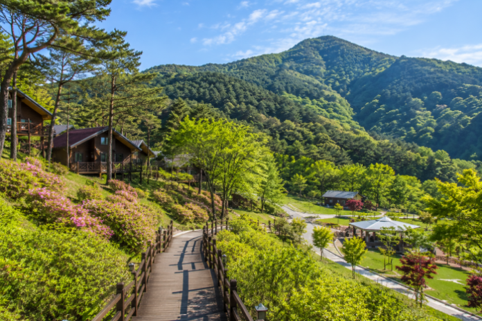 goesan_seongbulsan_forest_resort_featured 괴산 성불산 산림휴양단지 숲길과 산림휴양 풍경