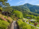 괴산 성불산 산림휴양단지 숲길과 산림휴양 풍경