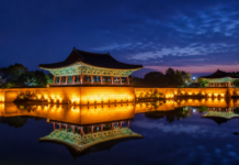 경주 동궁과 월지, 천년 전 왕실 연회장이 대한민국 대표 야경 명소가 된 이유 경주 동궁과 월지의 전각 조명이 연못 수면에 비치는 대표 야경 풍경