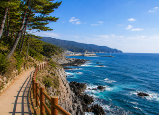 걷다 보면 마음이 조용해진다…바다·주상절리가 4시간 내내 이어지는 해안길 해파랑길 10코스 해안 절벽과 바다 산책길 풍경