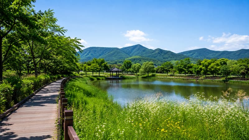 함안 악양생태공원의 연못과 산책길 여름 풍경