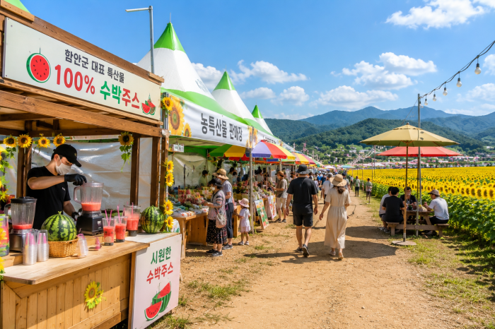 함안 강주해바라기축제 해바라기 포토존