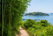 홍성 죽도 서해 낙조와 바다 풍경