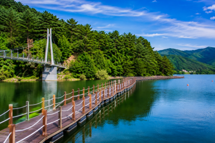hwacheon-paroho-soop-bridge-water-deck 화천 파로호 100리 산소길 숲으로다리 수상 데크길