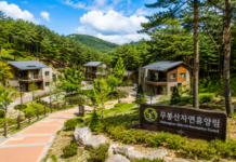 화성 무봉산자연휴양림 숲속의 집과 동탄 인근 산림휴양지