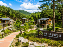 화성 무봉산자연휴양림 숲속의 집과 동탄 인근 산림휴양지