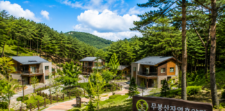 화성 무봉산자연휴양림, 동탄 신도시 10분 거리의 9만 평 숲속 휴양지 화성 무봉산자연휴양림 숲속의 집과 동탄 인근 산림휴양지