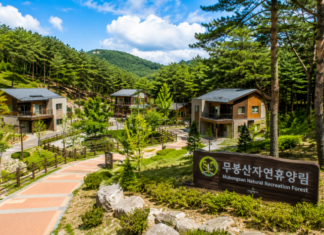 화성 무봉산자연휴양림 숲속의 집과 동탄 인근 산림휴양지