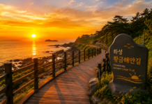 화성 황금해안길 서해 낙조와 해안 데크길