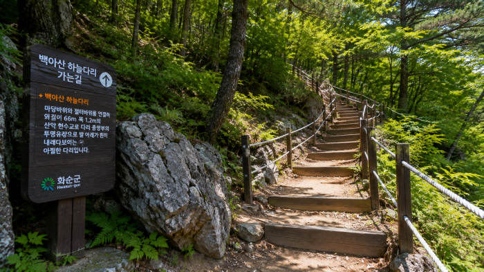 화순 백아산 하늘다리로 오르는 숲길과 계단, 암릉 산행로 풍경