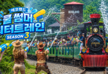 제주 에코랜드 워터트레인 시즌3 기차와 물총 배틀, 곶자왈 숲속 여름 물놀이 풍경