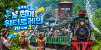 제주 에코랜드 워터트레인 시즌3 기차와 물총 배틀, 곶자왈 숲속 여름 물놀이 풍경