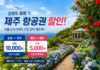 강원도 제주 항공권 할인과 여름 제주 여행을 상징하는 카멜리아힐 풍경