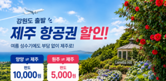강원도 제주 항공권 할인, 양양·원주 출발 여름휴가비 낮춘다 강원도 제주 항공권 할인과 여름 제주 여행을 상징하는 카멜리아힐 풍경