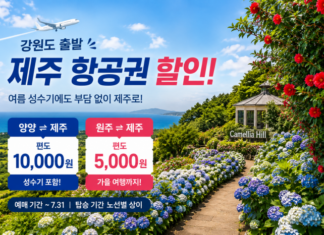 강원도 제주 항공권 할인과 여름 제주 여행을 상징하는 카멜리아힐 풍경