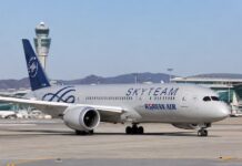 스카이팀 ‘그린 커넥션 데이’ 성료, 인천공항 중심 메가 스카이팀 시대 예고 인천공항 활주로에 있는 대한항공 스카이팀 도색 항공기