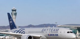 인천공항 활주로에 있는 대한항공 스카이팀 도색 항공기