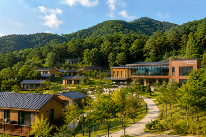 miwon-starlight-forest-retreat-cheongju 청주 미원별빛자연휴양림 숲속 숙박동과 산림욕장 전경
