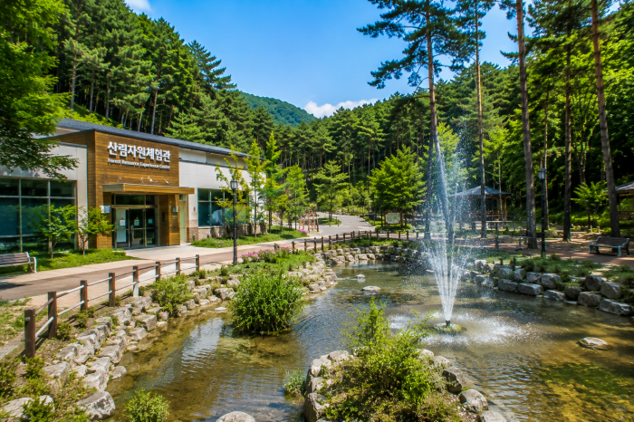 무봉산자연휴양림 산림자원체험관과 숲길