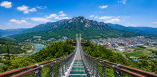 문경 봉명산 출렁다리와 주흘산 조망