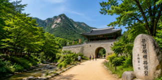 문경새재도립공원의 황토 흙길과 주흘산, 조령산 숲길이 어우러진 트레킹 풍경