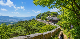 푸른 숲과 남한산성 성곽길을 걷는 여행객