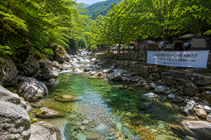 오대산국립공원 소금강산 자동차야영장 앞 계곡