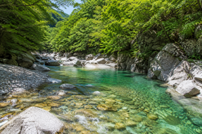 odaesan-sogeumgang-valley-summer-creek 오대산국립공원 소금강계곡 여름 계류와 숲길