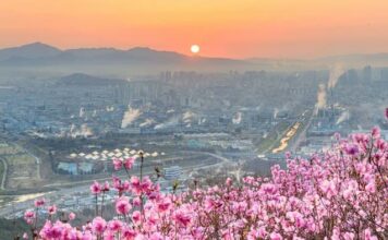 1박 2일 여행지 추천, 대구·강릉·전주·구마모토 주말여행 1박 2일 여행지 추천 대구 도심과 봄꽃이 어우러진 주말여행
