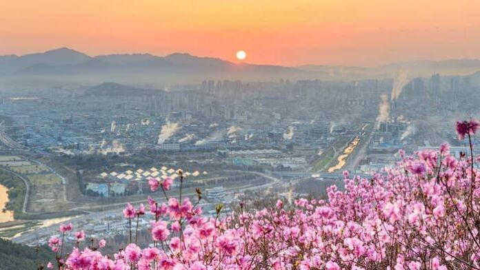 one-night-two-day-daegu-sunset 1박 2일 여행지 추천 대구 도심과 봄꽃이 어우러진 주말여행