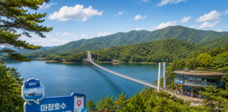 파주 마장호수 출렁다리와 호수 전경