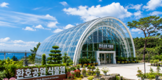 포항 환호공원 식물원, 바다 도시 한가운데 200여 종 식물이 만든 도심 온실 포항 환호공원 식물원 아치형 유리 온실과 도심 정원 풍경