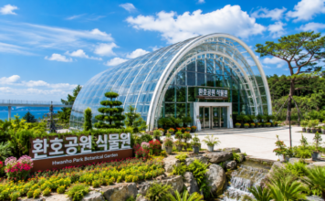 포항 환호공원 식물원 아치형 유리 온실과 도심 정원 풍경
