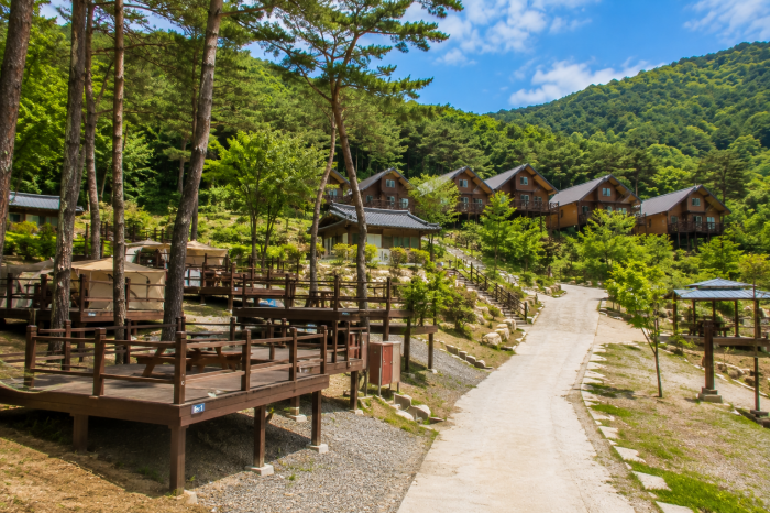 성불산자연휴양림 숲속의 집과 야영 데크