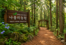통영 나폴리농원, 4회 연속 우수 웰니스 관광지로 인정받은 편백숲 맨발 여행 통영 나폴리농원 편백숲 맨발 걷기 웰니스 여행지