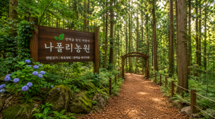 통영 나폴리농원, 4회 연속 우수 웰니스 관광지로 인정받은 편백숲 맨발 여행 통영 나폴리농원 편백숲 맨발 걷기 웰니스 여행지