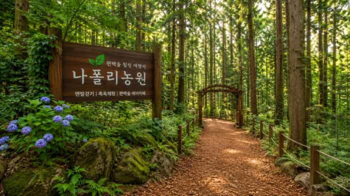 통영 나폴리농원 편백숲 맨발 걷기 웰니스 여행지