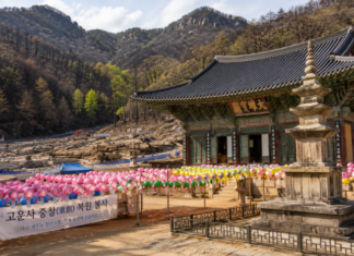 산불 피해 복구가 진행 중인 의성 고운사 경내