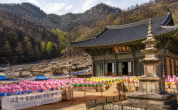 산불 피해 복구가 진행 중인 의성 고운사 경내