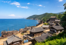 완도 청해포구촬영장 전통가옥 세트와 바다 풍경