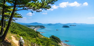 완도 소안도 대봉산둘레길, 7.5km 해안 숲길에서 만나는 항일의 섬 완도 소안도 대봉산둘레길과 다도해 해안 숲길
