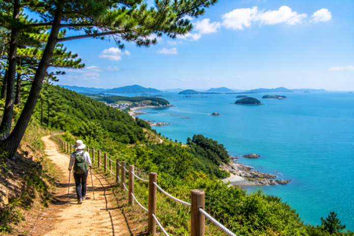 wando-soando-daebongsan-trail-coastal-forest 완도 소안도 대봉산둘레길과 다도해 해안 숲길